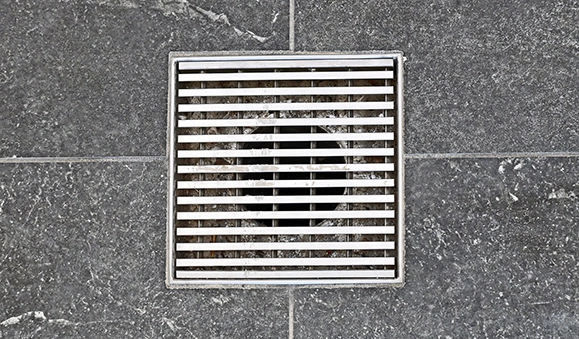 shower drain.