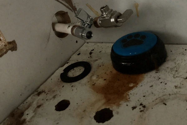 leaking kitchen faucet d.amage