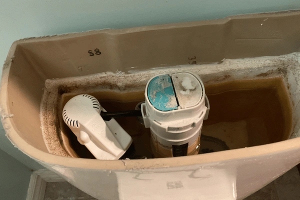 toilet valve replacement.