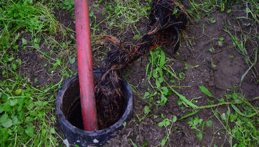 Cable being fed into a sewer line