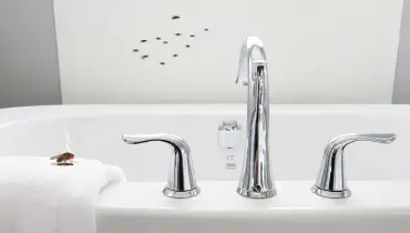 Shoo fly how to get rid of fruit flies in the bathroom