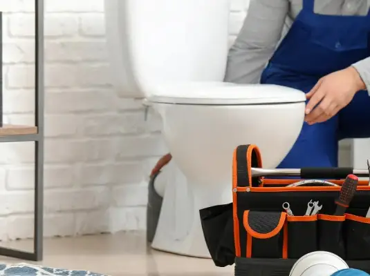 toilet removal