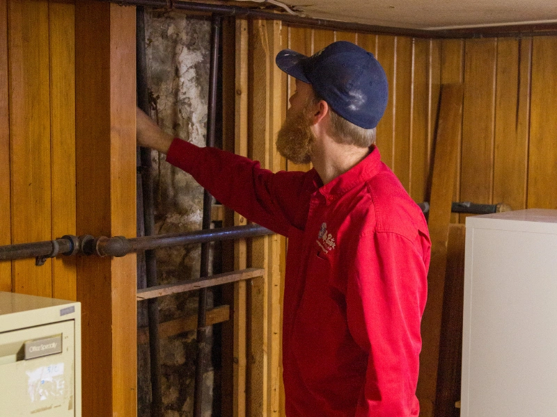 Mr. Rooter employee and wood paneling.
