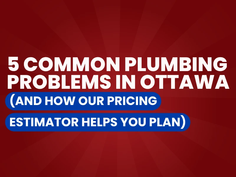5 Common Plumbing Problems in Ottawa graphic.